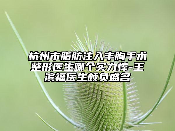 杭州市脂肪注入豐胸手術(shù)整形醫(yī)生哪個(gè)實(shí)力棒-王濱福醫(yī)生頗負(fù)盛名