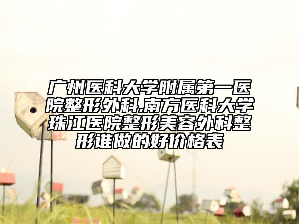 廣州醫(yī)科大學(xué)附屬第一醫(yī)院整形外科,南方醫(yī)科大學(xué)珠江醫(yī)院整形美容外科整形誰做的好價(jià)格表