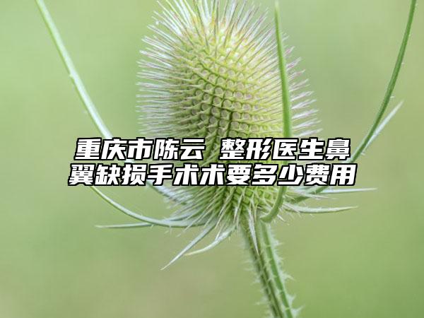 重慶市陳云堃整形醫(yī)生鼻翼缺損手術(shù)術(shù)要多少費用