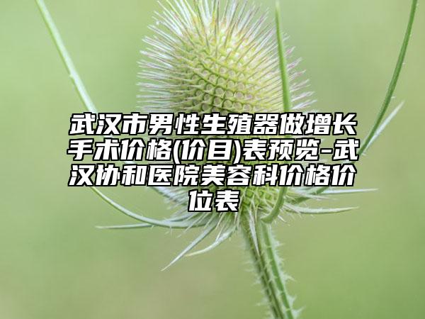 武漢市男性生殖器做增長手術(shù)價(jià)格(價(jià)目)表預(yù)覽-武漢協(xié)和醫(yī)院美容科價(jià)格價(jià)位表