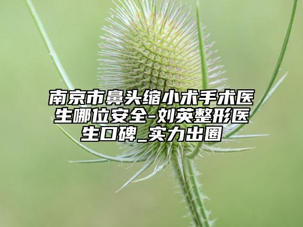 南京市鼻頭縮小術(shù)手術(shù)醫(yī)生哪位安全-劉英整形醫(yī)生口碑_實(shí)力出圈