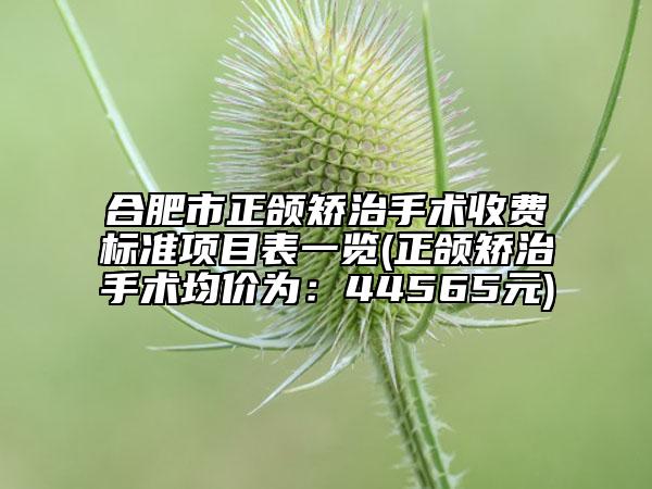 合肥市正頜矯治手術(shù)收費標(biāo)準(zhǔn)項目表一覽(正頜矯治手術(shù)均價為：44565元)