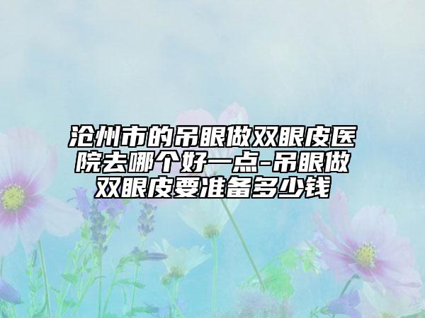 滄州市的吊眼做雙眼皮醫(yī)院去哪個好一點-吊眼做雙眼皮要準備多少錢