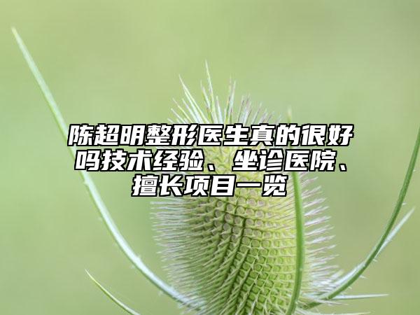 陳超明整形醫(yī)生真的很好嗎技術(shù)經(jīng)驗(yàn)、坐診醫(yī)院、擅長項(xiàng)目一覽