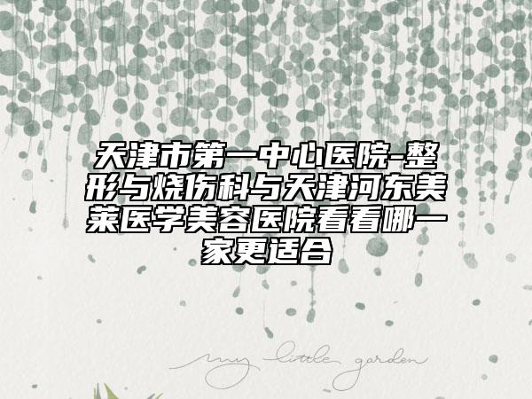 天津市第一中心醫(yī)院-整形與燒傷科與天津河?xùn)|美萊醫(yī)學(xué)美容醫(yī)院看看哪一家更適合