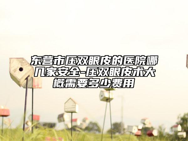 東營(yíng)市壓雙眼皮的醫(yī)院哪幾家安全-壓雙眼皮術(shù)大概需要多少費(fèi)用