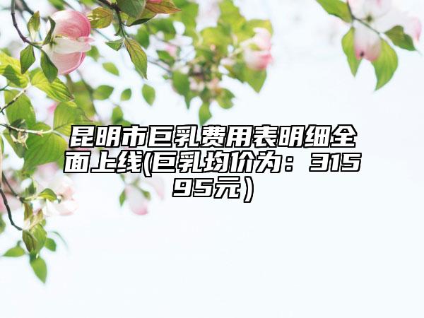 昆明市巨乳費(fèi)用表明細(xì)全面上線(巨乳均價(jià)為：31595元）